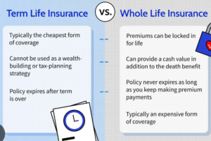 Understanding the Differences between Term and Whole Life Insurance