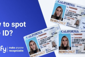 Buying & Using Fake IDs: A Comprehensive Guide