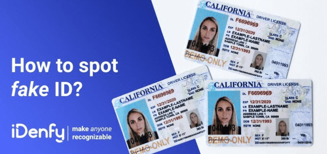 Buying & Using Fake IDs: A Comprehensive Guide