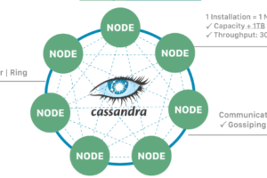 DataStax NoSQL Cassandra: Navigating the Digital Frontier