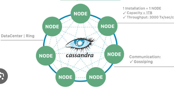 DataStax NoSQL Cassandra: Navigating the Digital Frontier